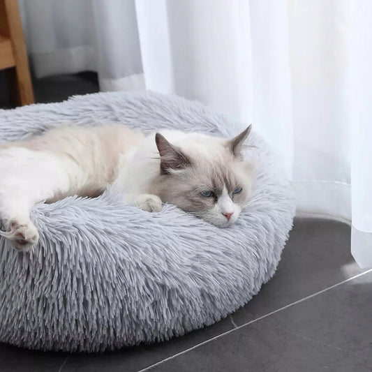 Guolis katėms ir šunims "Spurga"